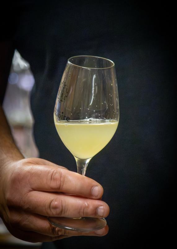 Vignoble Tom Cartron – Professionnel – Vallet, Muscadet Sèvre et Maine, photo 5 – photographie Neil COCANDEAU