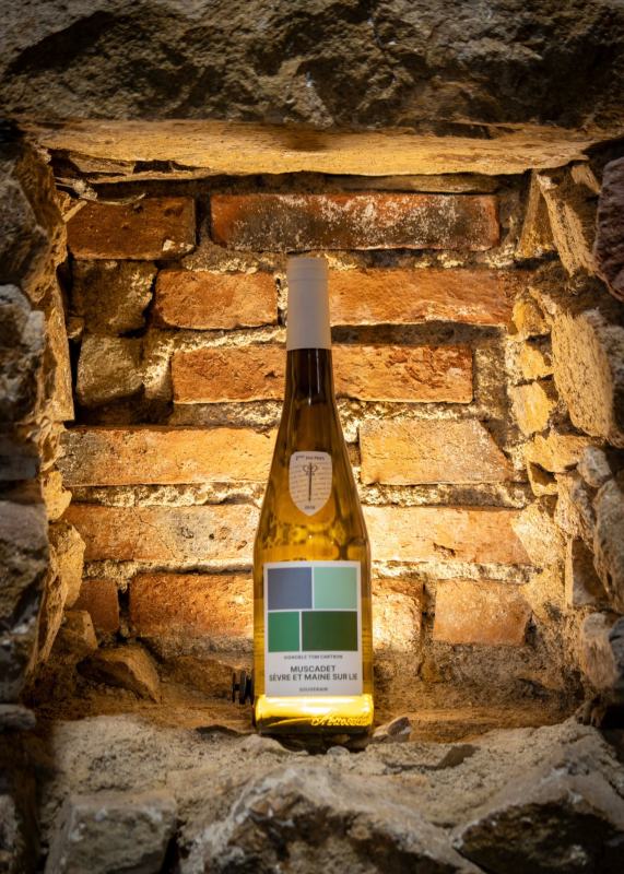 Vignoble Tom Cartron – Professionnel – Vallet, Muscadet Sèvre et Maine – photographie Neil COCANDEAU