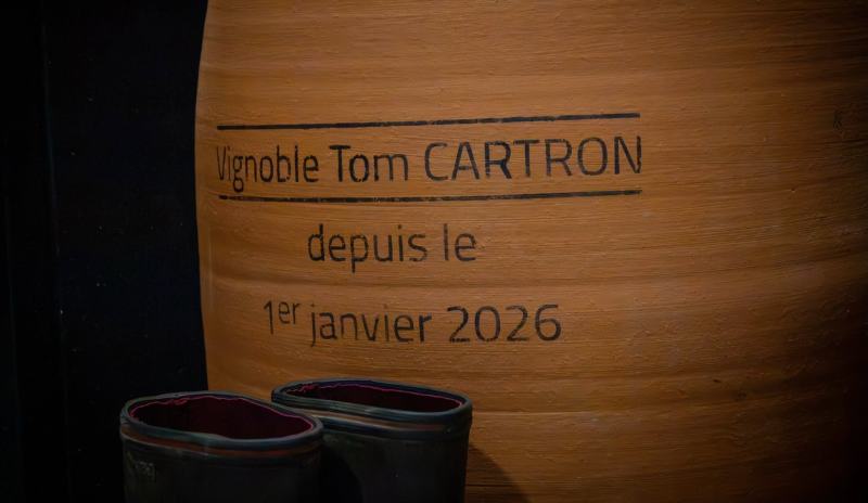 Vignoble Tom Cartron – Professionnel – Vallet, Muscadet Sèvre et Maine, photo 4 – photographie Neil COCANDEAU